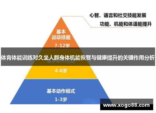 体育体能训练对久坐人群身体机能恢复与健康提升的关键作用分析